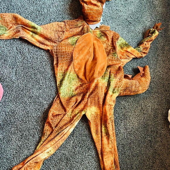 Ama an boys t-Rex costume size 4-6 - Picture 3 of 3